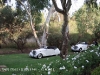 jaguar-wedding-cars-perth-29