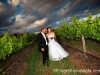 fotographia-wedding-cars-20