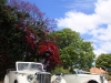 jaguar-wedding-car-hire-perth-13