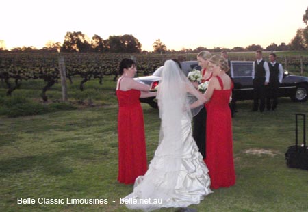 wedding limo hire perth Swan Valley wedding photo session