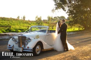 Beautiful Swan Valley wedding backdrop