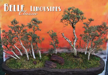 limo tours swan valley perth limo hire