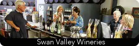 best wine tours in the valley