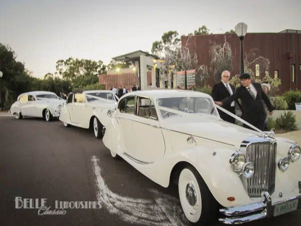Limousines in Perth and Margaret River 1 kings park wedding