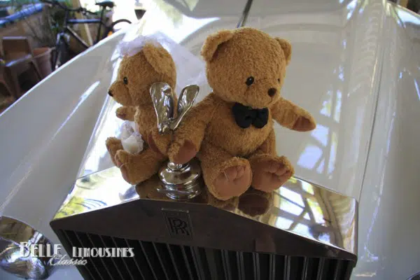 Wedding Car and Limo Decorations 7 wedding car decorations
