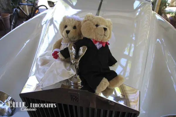 Wedding Car and Limo Decorations 6 wedding bears