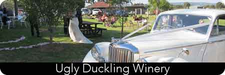 swan valley wedding
