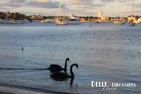 mosmans wedding photography perth 33 wedding day photos in mosman park