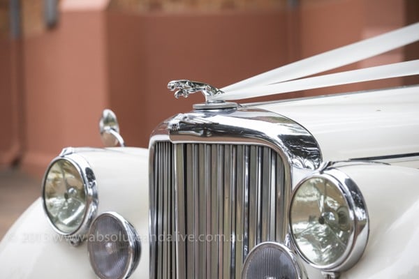 jaguar bridal car