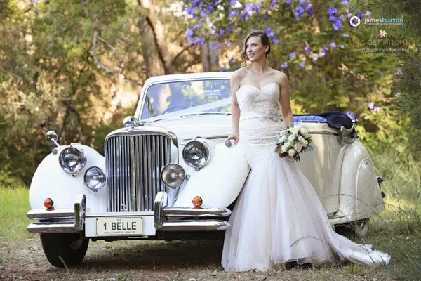 Pop-up Wedding Limousines 1 pop up weddings