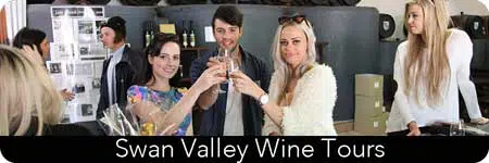 94th Birthday Scenic Tour 4 limo wine tours