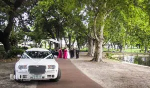 bridal limousine 3